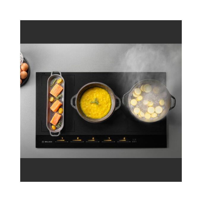 Bếp từ Malloca SKYLUX MH-885