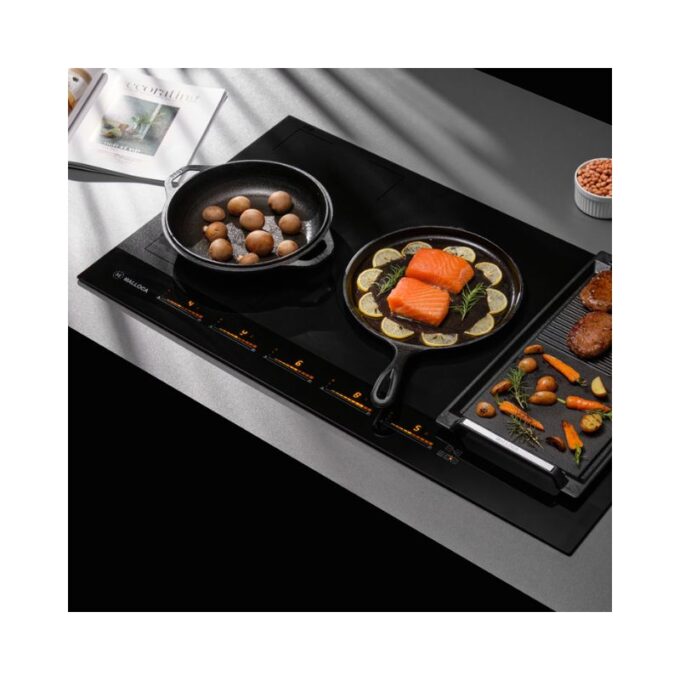 Bếp từ Malloca SKYLUX MH-885